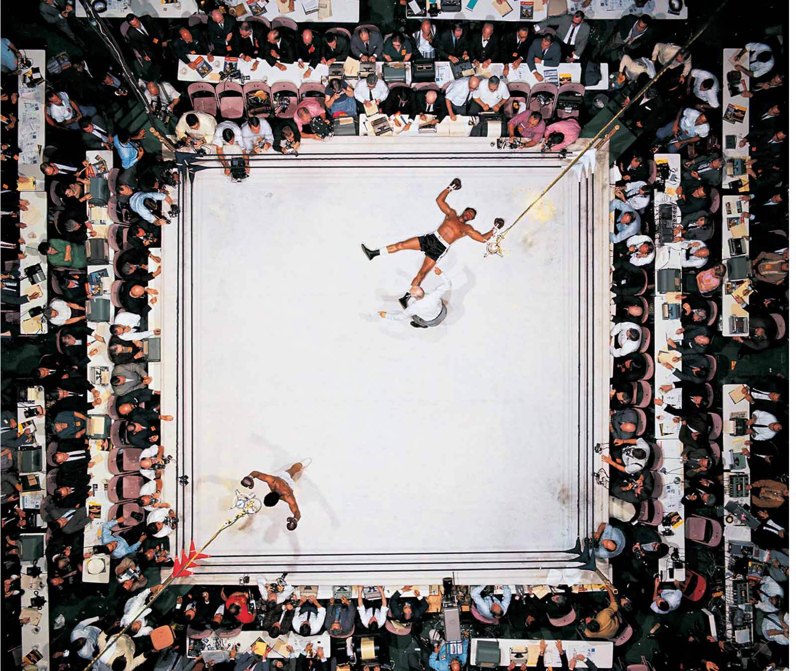 knockout